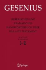 Hebraisches Und Aramaisches Handworterbuch Uber Das Alte Testament