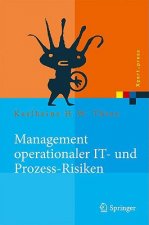 Management Operationaler It- Und Prozess-Risiken