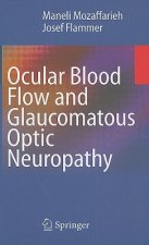 Ocular Blood Flow and Glaucomatous Optic Neuropathy