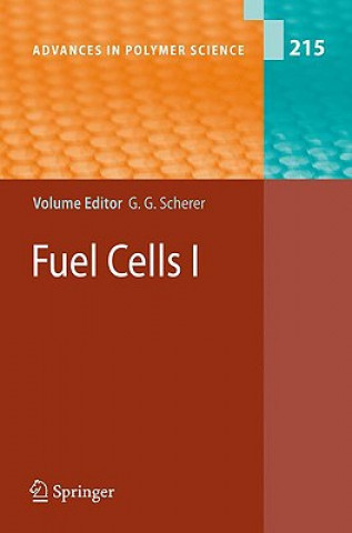 Fuel Cells I