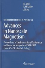 Advances in Nanoscale Magnetism