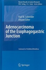 Adenocarcinoma of the Esophagogastric Junction