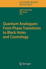 Quantum Analogues: From Phase Transitions to Black Holes and Cosmology