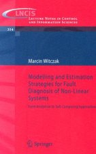 Modelling and Estimation Strategies for Fault Diagnosis of Non-Linear Systems