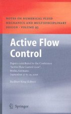 Active Flow Control