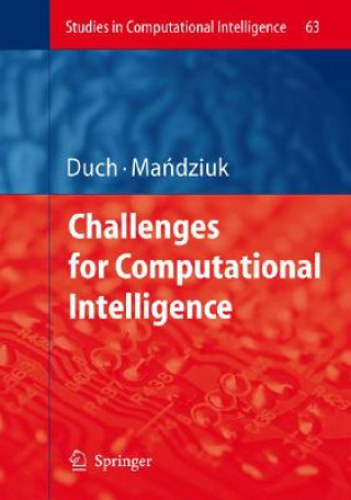 Challenges for Computational Intelligence