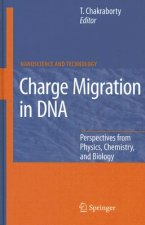 Charge Migration in DNA