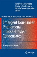 Emergent Nonlinear Phenomena in Bose-Einstein Condensates