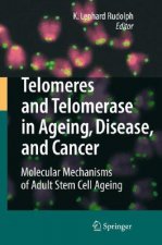 Telomeres and Telomerase in Aging, Disease, and Cancer