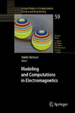 Modeling and Computations in Electromagnetics