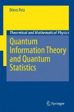 Quantum Information Theory and Quantum Statistics