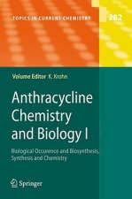 Anthracycline Chemistry and Biology I