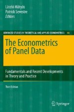 Econometrics of Panel Data