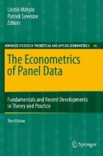 Econometrics of Panel Data