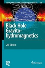 Black Hole Gravitohydromagnetics