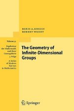 Geometry of Infinite-Dimensional Groups