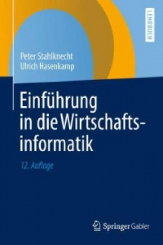 Einfuhrung in Die Wirtschaftsinformatik