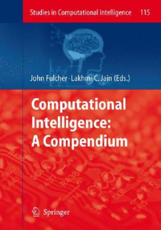 Computational Intelligence: A Compendium, 2 Teile
