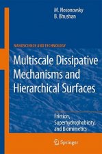 Multiscale Dissipative Mechanisms and Hierarchical Surfaces