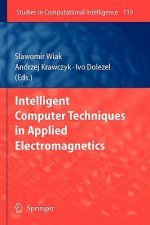 Intelligent Computer Techniques in Applied Electromagnetics