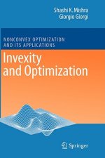 Invexity and Optimization