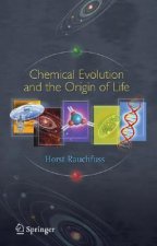 Chemical Evolution and the Origin of Life