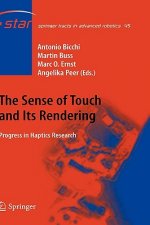 Sense of Touch and Its Rendering