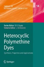 Heterocyclic Polymethine Dyes