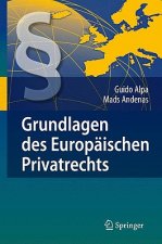 Grundlagen Des Europaischen Privatrechts