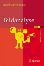 Bildanalyse