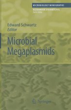 Microbial Megaplasmids