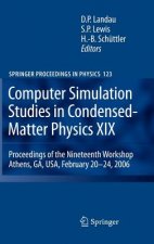 Computer Simulation Studies in Condensed-Matter Physics XIX