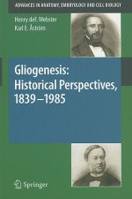 Gliogenesis: Historical Perspectives, 1839 - 1985