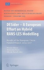 DESider - A European Effort on Hybrid RANS-LES Modelling