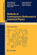 Methods of Contemporary Mathematical Statistical Physics