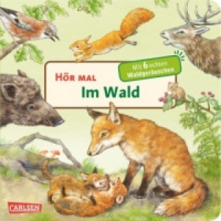 Hör mal (Soundbuch): Im Wald