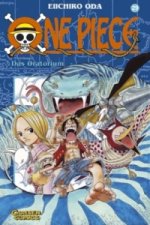 One Piece 29