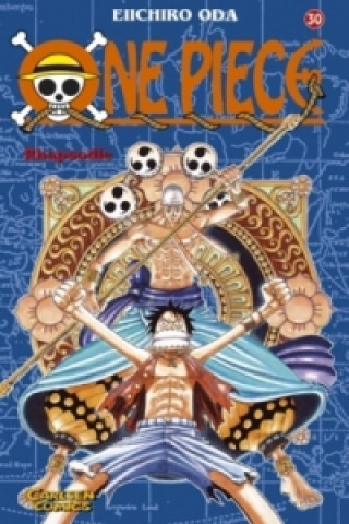 One Piece 30