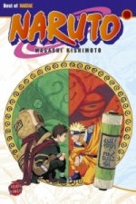 Naruto 15