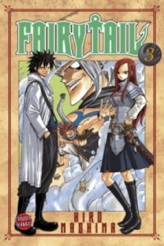 Fairy Tail. Bd.3