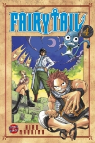 Fairy Tail. Bd.4