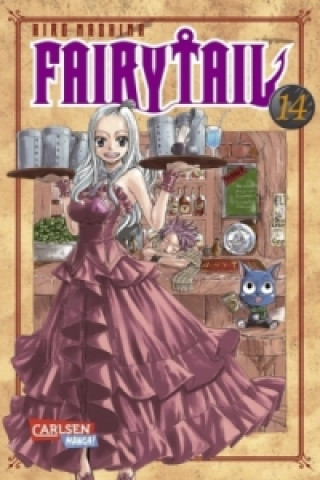 Fairy Tail. Bd.14