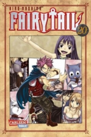 Fairy Tail. Bd.20