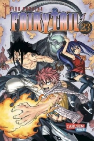 Fairy Tail. Bd.23