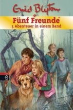 Fünf Freunde - 3 Abenteuer in einem BandF, ünf Freunde und das Teufelsmoor; Fünf Freunde und der Hexenring; Fünf Freunde im Gruselschloss