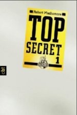 Top Secret - Der Agent