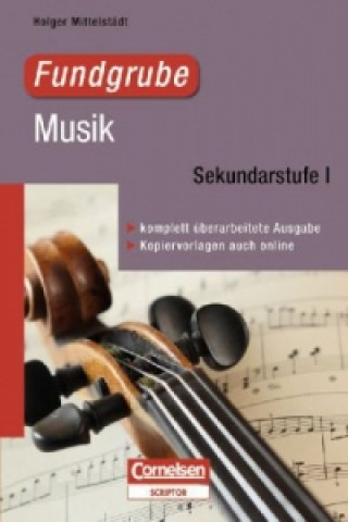 Fundgrube Musik, Sekundarstufe I