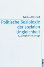 Politische Soziologie der sozialen Ungleichheit