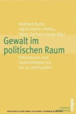 Gewalt im politischen Raum