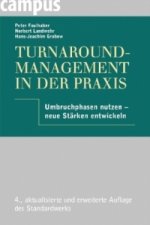 Turnaround-Management in der Praxis